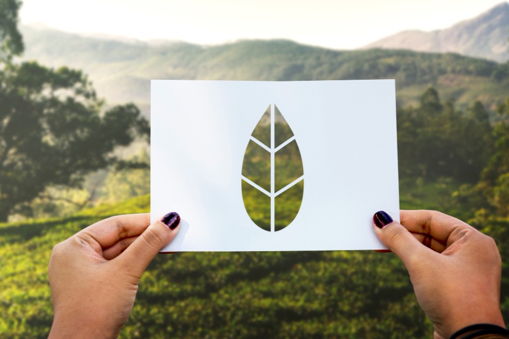 Carbon Footprint Reduction aa